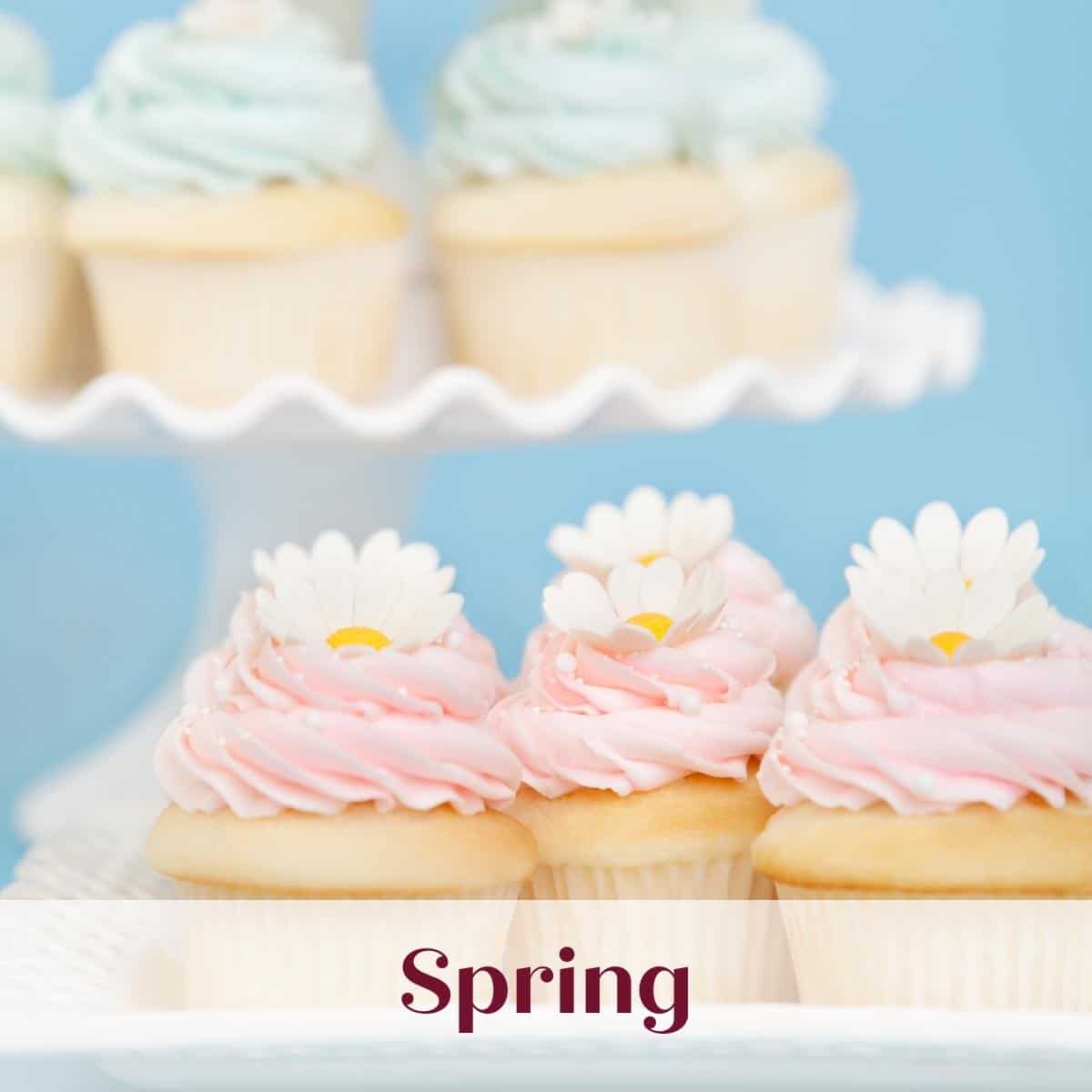 spring category graphic with floral cupcakes