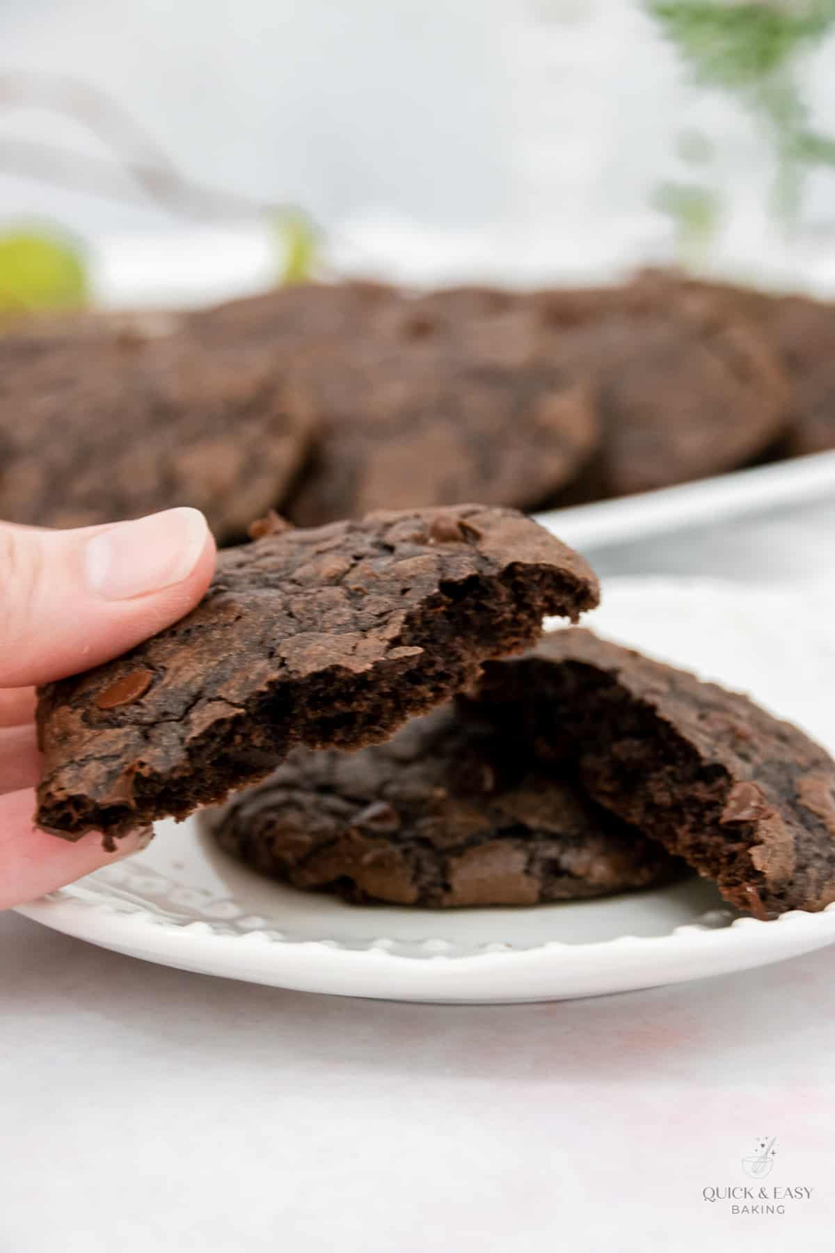 Hand holding a brownie cookie with cookies in the background.