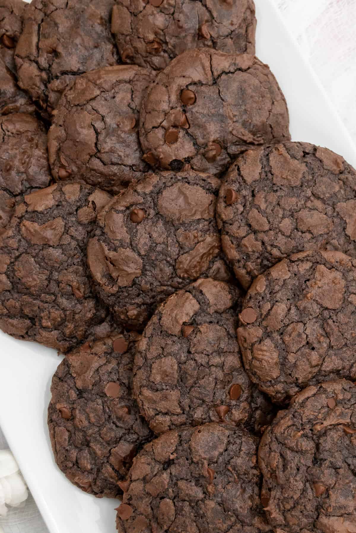 Top view of chewy chocolate brownie cookies on a white plate.