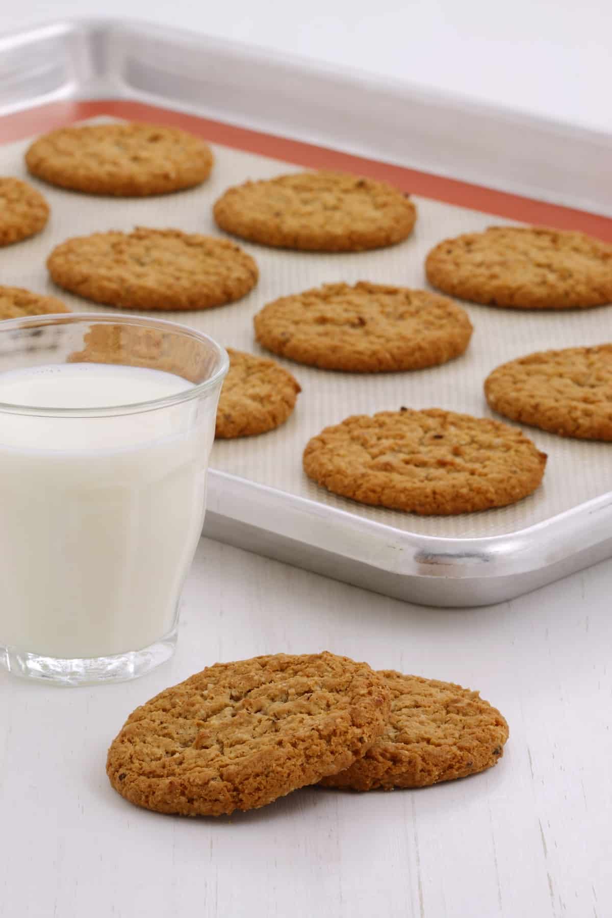 Ginger cookies on a cookie sheet.