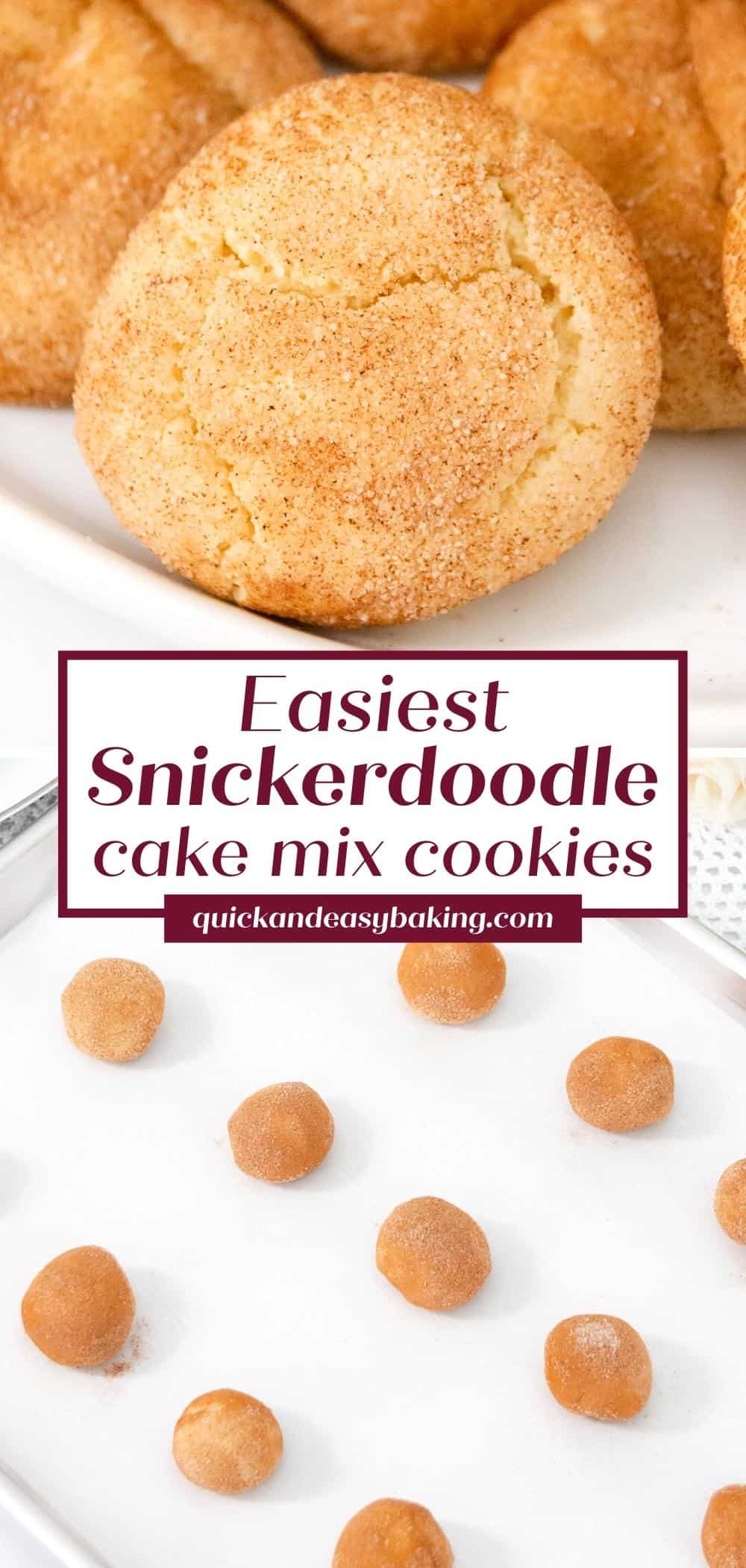 Graphic collage of snickerdoodle cookies with text pin.